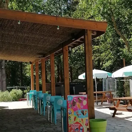 Mobil-home 6 Pers Avec Terrasse à - Api-1-52-973